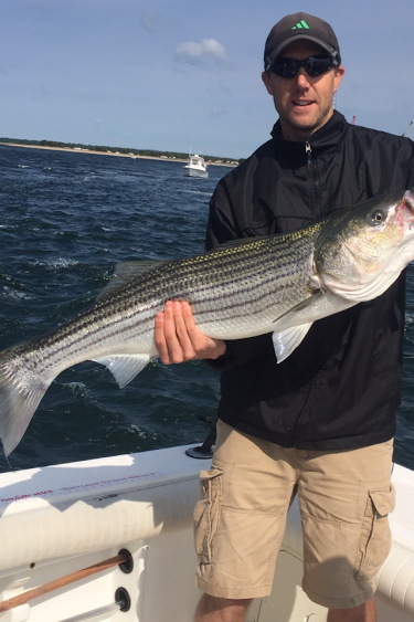 Ipswich Bay striper